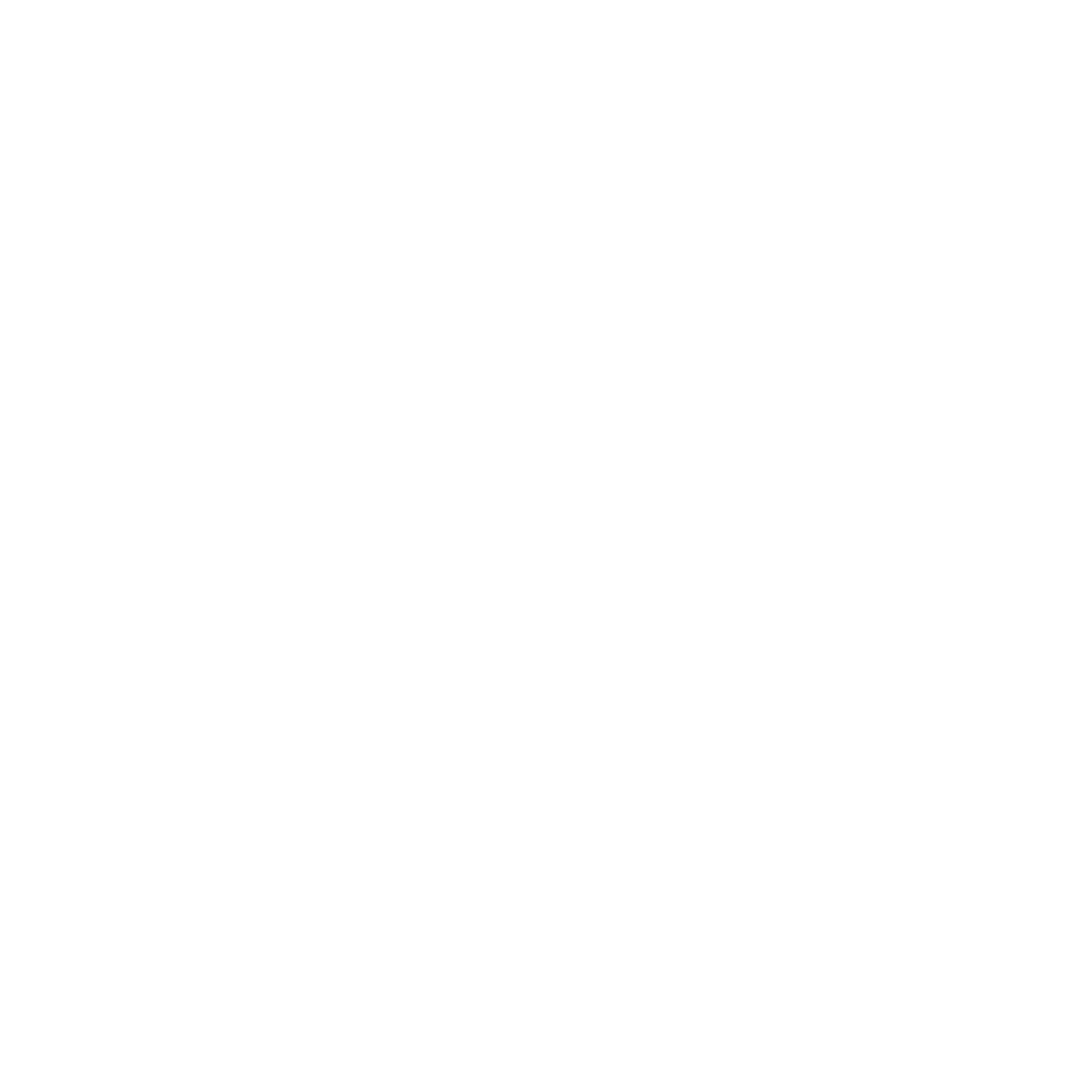 pass-ico