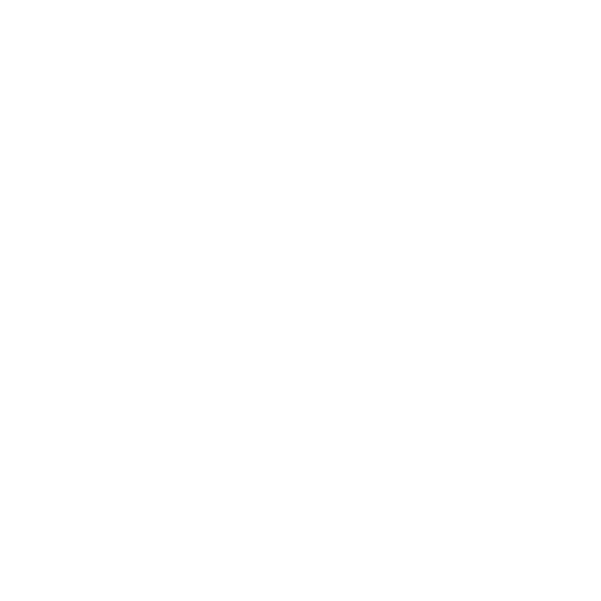 ski-ico