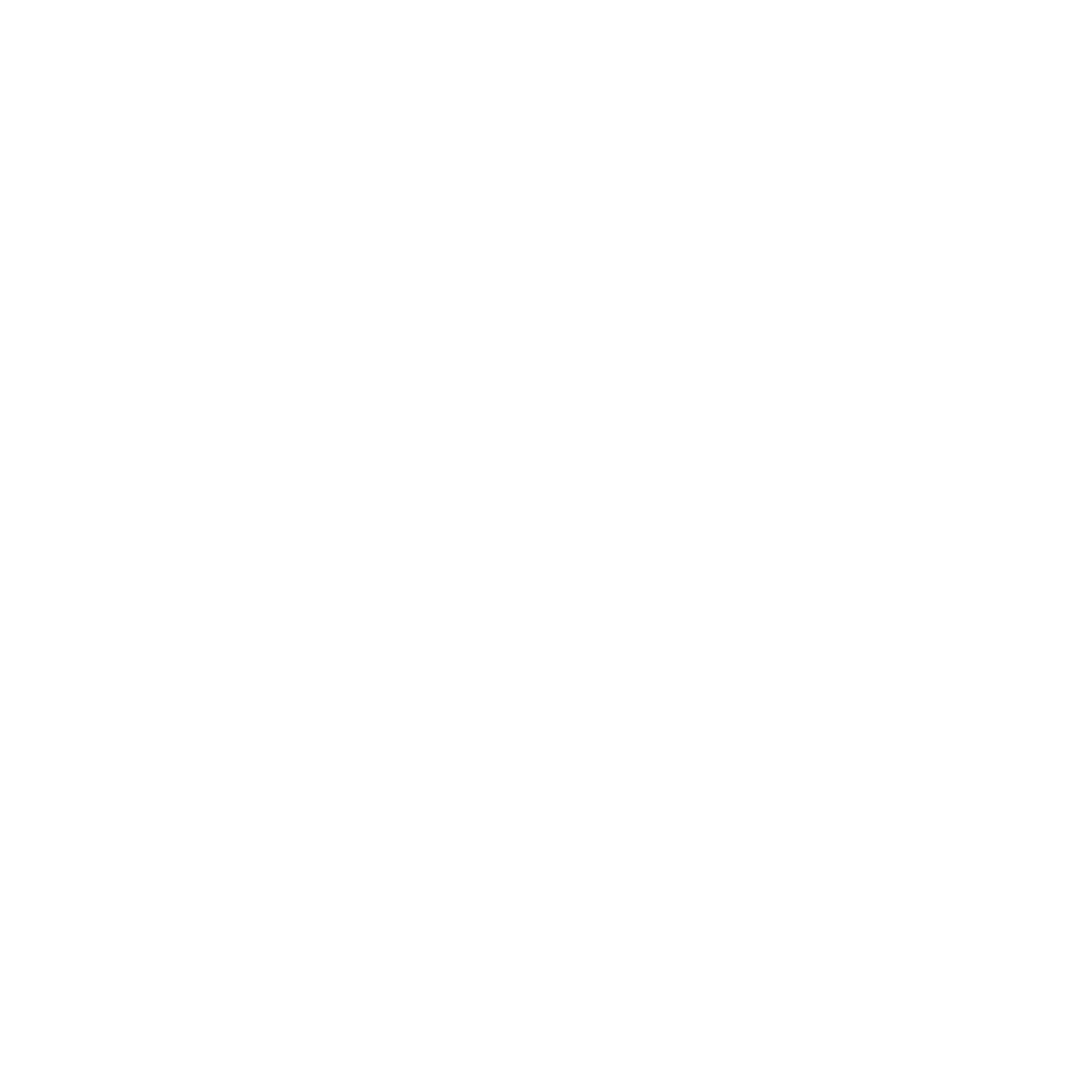ski-ico